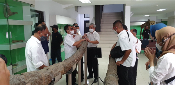 Peserta memegang fosil di ruang koleksi