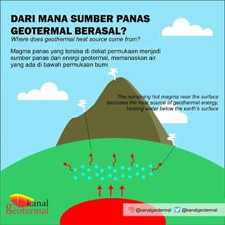 graphic 4